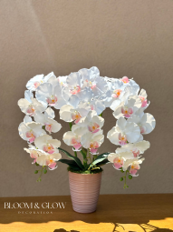 Orchidea dekor